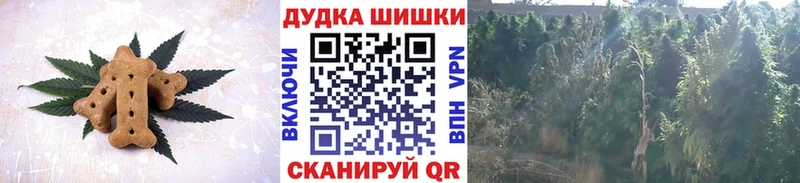 Cannafood конопля  KRAKEN вход  Ярославль 