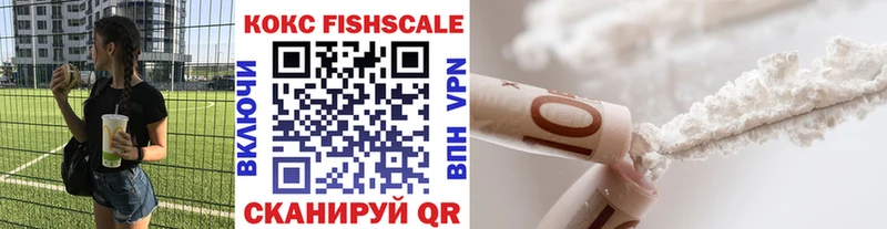 Кокаин Fish Scale  mega как войти  Ярославль  купить  цена 