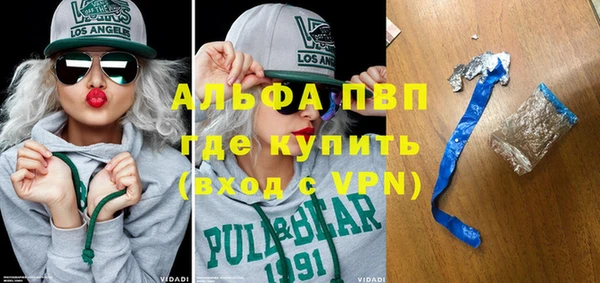 стафф Вязьма