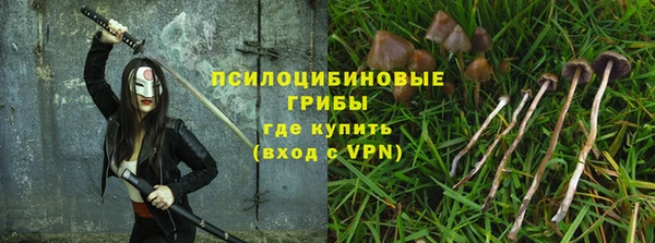 стафф Вязьма