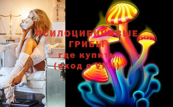 меф Вяземский