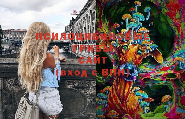 стафф Вязьма