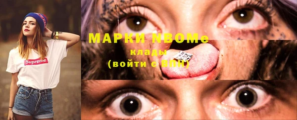 стафф Вязьма